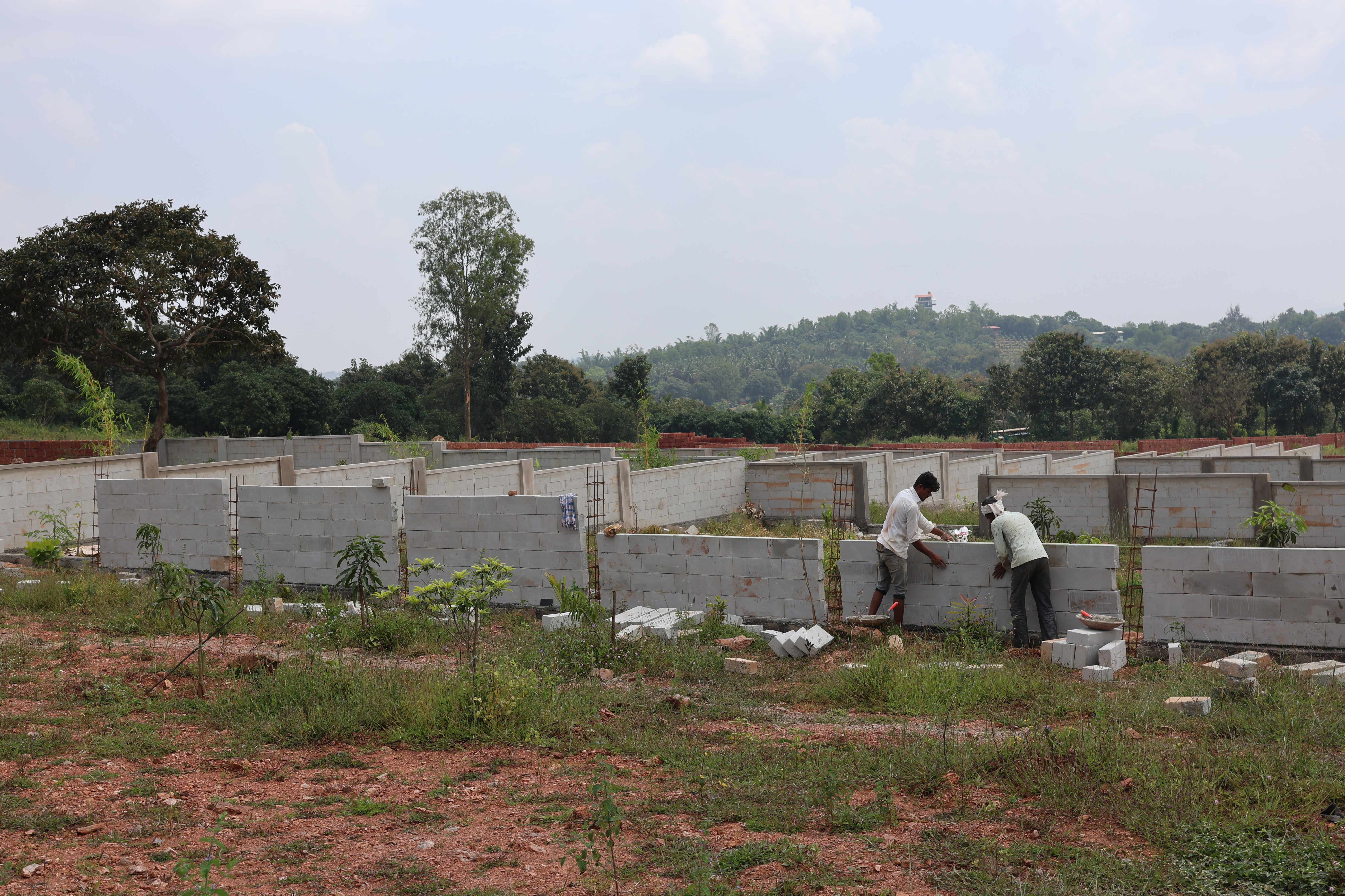 Individual Plot Fencing